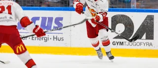 Almtuna mötte Västervik i slutspelsjaken