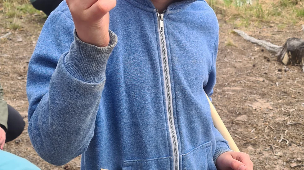 "Vad är detta?" Det är något levande, säger Malte Bengtsson 