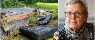 Upprepad skadegörelse: "De bara förstör"