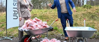 EU-parlamentarikerna behöver visa vad pengarna går till