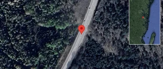 Varning för rådjur på vägen på E22