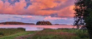 Läsarbilden: Vykortsvy                          