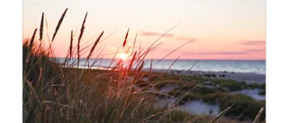 Sommarbilden – sista chansen att tävla! • Avslutas 12.00
