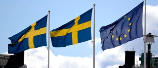 ”Starkare Europa, starkare Sverige, starkare Gotland”