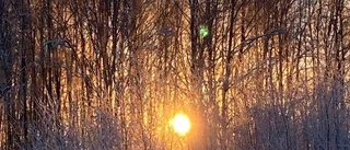 Kall men vacker januaridag      