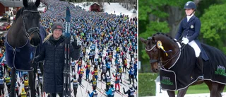 Stjärnans galna vad: "Får lita på pannbenet"