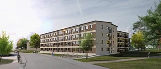 Får Flamman ta mark av Lektorshagen?