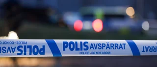 Studie: Fler invandrare ger inte fler våldsbrott