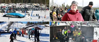 Fullspäckat schema på årets kanisdag – blir arrendatorns sista