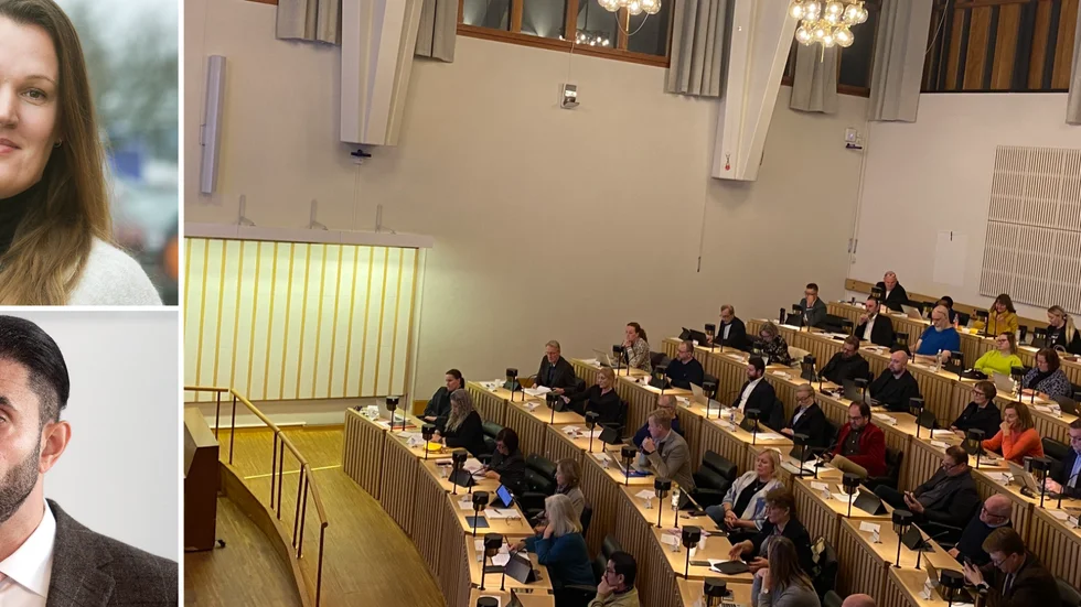 Oppositionsrådet Malin Karlsson (SD) ger inte mycket för att senaste mötet för kommunens högsta beslutande organ ställdes in för att det var för få ärenden. Hon riktar också kritik mot kommunalrådet Ahmad Eid (M).