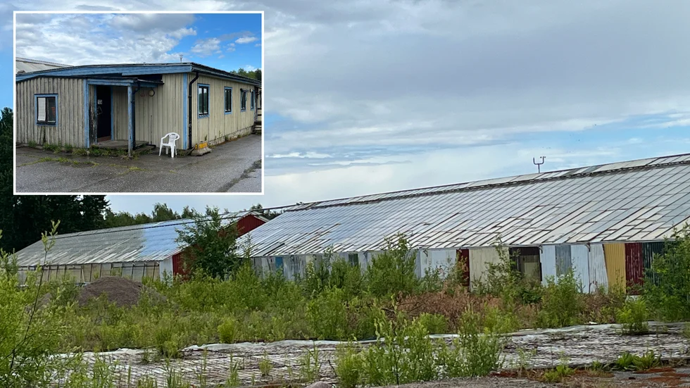 Bakom växthusen, där det fortfarande bedrivs viss växtodling, ligger en träbyggnad där det ska ha förekommit olovligt boende. 