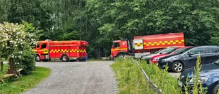 Räddningstjänst larmades om skogbrand – grillade grönsaker   