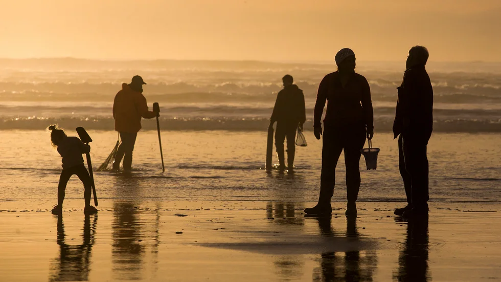 Besökare letar musslor i Fort Stevens State Park i USA-delstaten Oregon. Arkivbild.