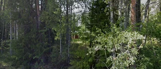 54-åring ny ägare till stuga i Hallstavik - 1 250 000 kronor blev priset
