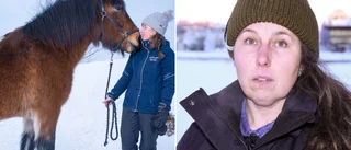 Busschaufför misstänks för smitning från olycksplats