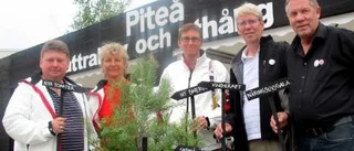 3 miljarder till låns