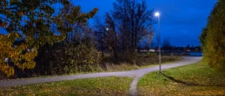 Dagens väder: Blåsigt och regn • Gul varning för kuling i Bottenviken
