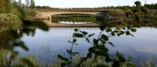 Vill hyra balkbro för transport över Åbyälven