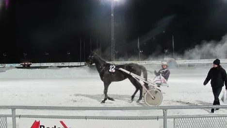 4-årige Älvsbyägde travaren Brisco Boko var strålande bra när han vann comebacken på Peabtravet. Hästen är obesegrad efter tre starter. Kusken Ulf Ohlsson var jättenöjd efter segern i kollegan Anna Lindmarks lopp.