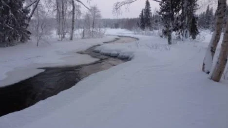 Vy över Varjisån.