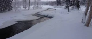 Dagens väderbild