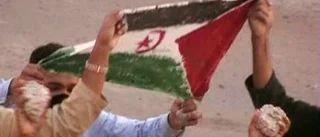 Erkänn Västsahara!