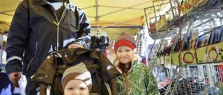 Smått med folk på höstmarknaden