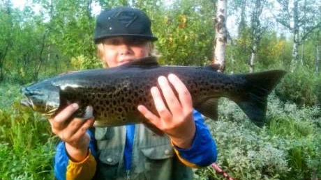 FIN ÖRING. Linus Bergqvist visar stolt upp den fina öring på drygt 2,5 kilo som han drog upp ur Karatssjön väster om Jokkmokk.