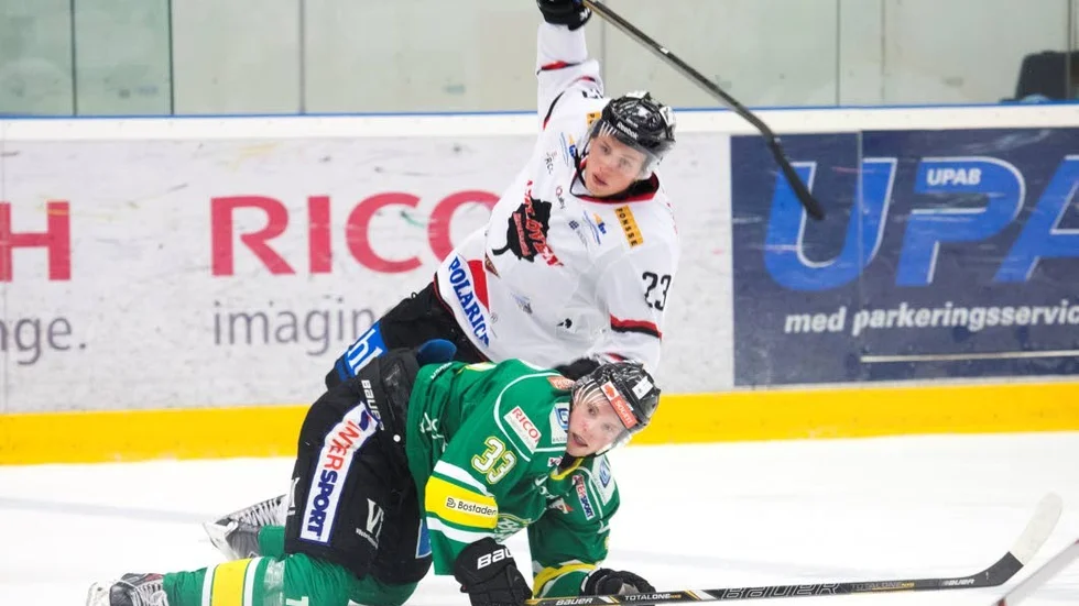 Jonas Berglund