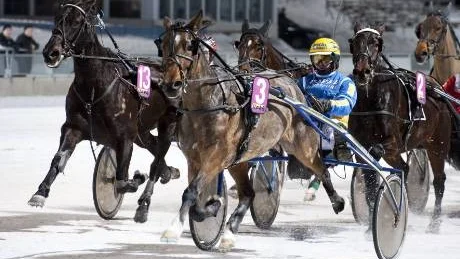 SEGRARE. Kusken Per Gustafsson har varit strålande den här säsongen på Peabtravet. I går tog han två nya segrar. Här med Tapperlou.