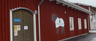 Eftter sju år – nu stänger hästkliniken • För dålig lönsamhet"