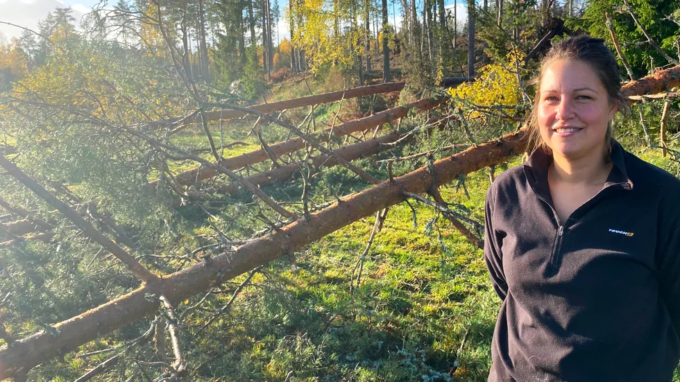 Ovädret ställde till med stora skador på ett litet område i skogen hos Linda Ogebrink och hennes man som har en gård strax utanför Vimmerby. Åtta-tio träd har fallit ut på åkern och längre upp på hygget ligger ytterligare kanske 30 omkullblåsta träd, berättar hon.