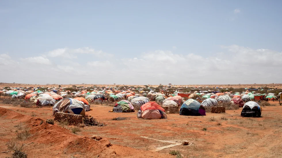 Flyktingarna får själva försöka få ihop hyddor att bo i under den stekande solen. Bild från lägret som den svenska delegationen besökte nära Kismayo.