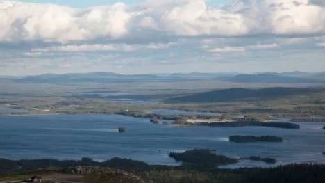 Galtis i Arjeplog efter regnet.