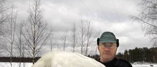 Svan dog efter kollision med elledning