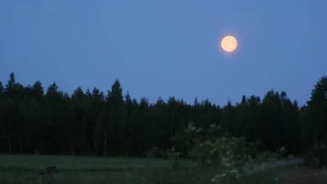 Fullmånen lyser över Lakafors/Älvbacka. Fotat midnatt mellan den 8 och 9 juli.