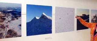 Laisvall överlever tack vare snön