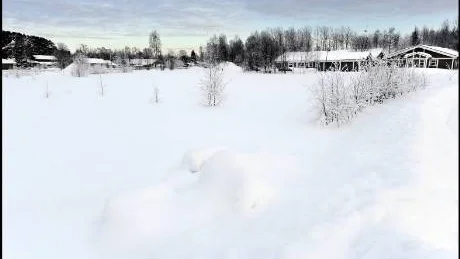 HUS HÄR. I Gammelstad vill HSB bygga 14 parhus på denna gamla äng. Planen är nu godkänd.