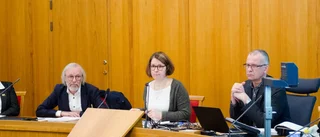 Bilvård – förlorad tid för hemtjänsten