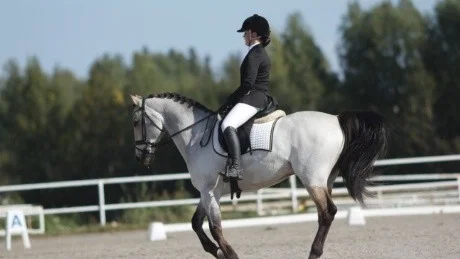 VINNARE. Maja Persson och Icy Q blev distriktsmästare i d-klassen under Lilla Ryttarspelen i Boden.