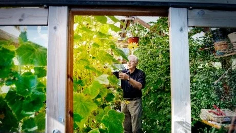 Gösta Eriksson i sitt växthus hemma på gården. I 19 år har han arrangerat Bodens skördefest och miljödagar. Att verka för ett förändrat samhälle där man tar miljöhänsyn är viktigt, tycker han.