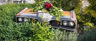 Pimpa din gamla Cadillac …