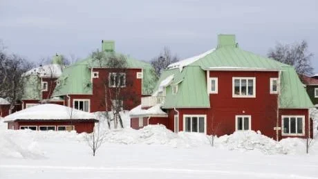 KAN FÖRSVINNA. I avtalet om gruvstadspark står det att upp till tolv bläckhorn skall flyttas men inget minimiantal.