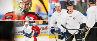 NHL-proffsen visade upp sig i Piteå: "Klart att man tackar ja"