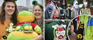 Frogs, knights, and demons in town - what can it mean?