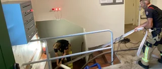 Därför blir det översvämningar i Vadstena