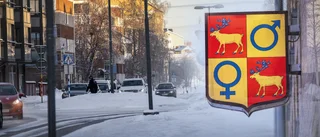 Oro på socialtjänsten i Gällivare: "Ångest och sömnsvårigheter" 