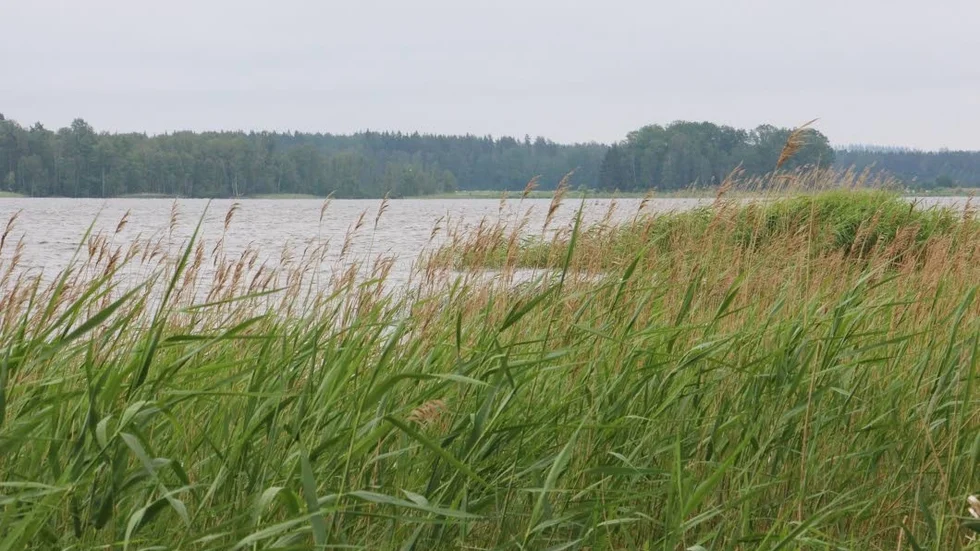 Strandskyddet slog till och husköparen fick ingen större tomt. Det stod klart långt efter att affären var klar. Nu vill paret som köpte huset häva köpet. Bilden är tagen i ett annat sammanhang. 