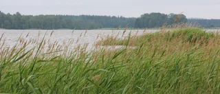 Bra med reformering av strandskyddet, men det krävs mer