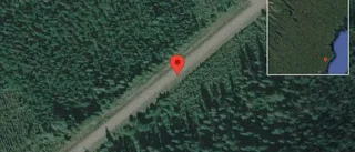 Viltolycka på väg 647 - helt stopp i ett körfält